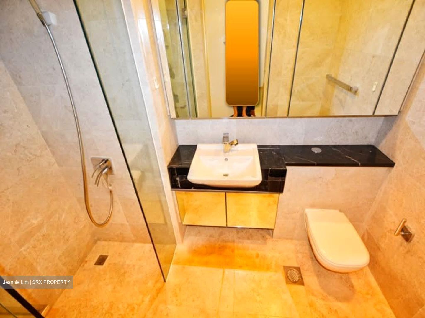 The Boutiq (D9), Apartment #554843091